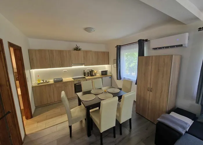 Sarudi Wellness דירה *